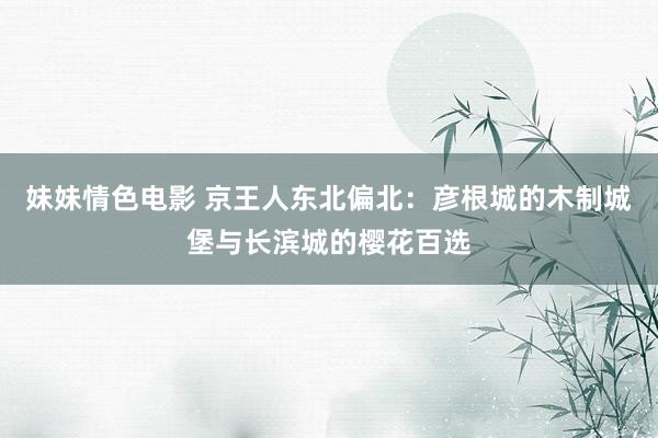 妹妹情色电影 京王人东北偏北：彦根城的木制城堡与长滨城的樱花百选