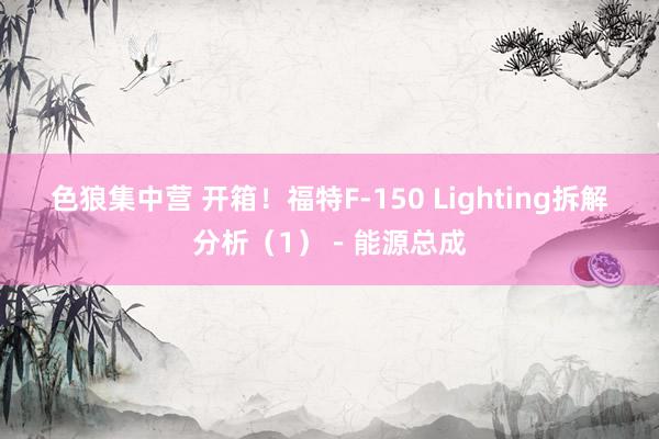 色狼集中营 开箱！福特F-150 Lighting拆解分析（1）－能源总成