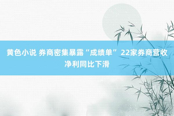 黄色小说 券商密集暴露“成绩单” 22家券商营收净利同比下滑