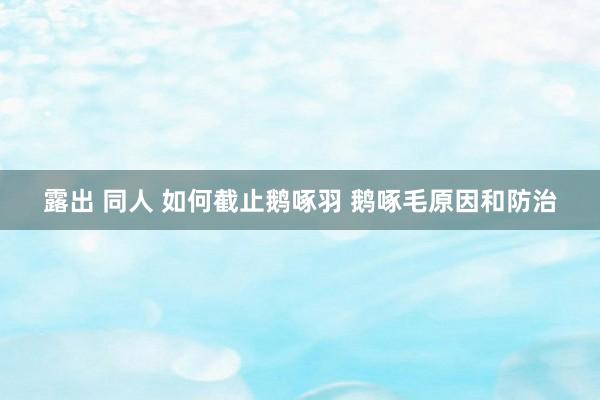 露出 同人 如何截止鹅啄羽 鹅啄毛原因和防治