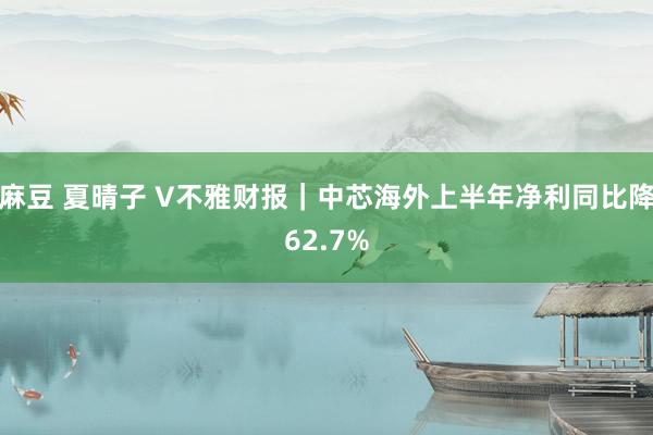 麻豆 夏晴子 V不雅财报｜中芯海外上半年净利同比降62.7%