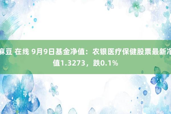 麻豆 在线 9月9日基金净值：农银医疗保健股票最新净值1.3273，跌0.1%