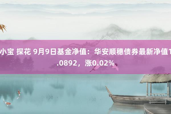 小宝 探花 9月9日基金净值：华安顺穗债券最新净值1.0892，涨0.02%