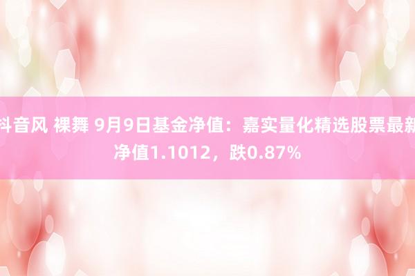 抖音风 裸舞 9月9日基金净值：嘉实量化精选股票最新净值1.1012，跌0.87%