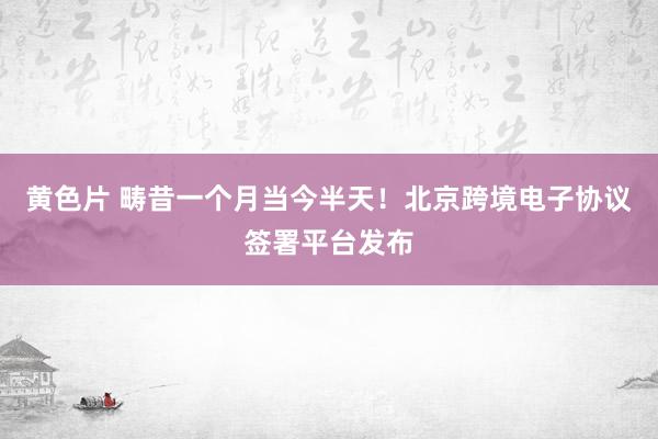 黄色片 畴昔一个月当今半天！北京跨境电子协议签署平台发布