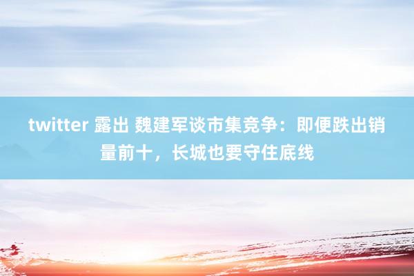 twitter 露出 魏建军谈市集竞争：即便跌出销量前十，长城也要守住底线