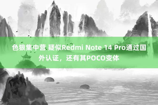 色狼集中营 疑似Redmi Note 14 Pro通过国外认证，还有其POCO变体