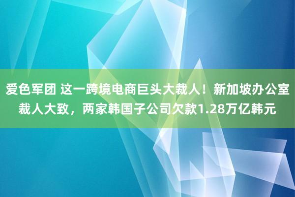 爱色军团 这一跨境电商巨头大裁人！新加坡办公室裁人大致，两家韩国子公司欠款1.28万亿韩元