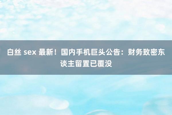 白丝 sex 最新！国内手机巨头公告：财务致密东谈主留置已覆没