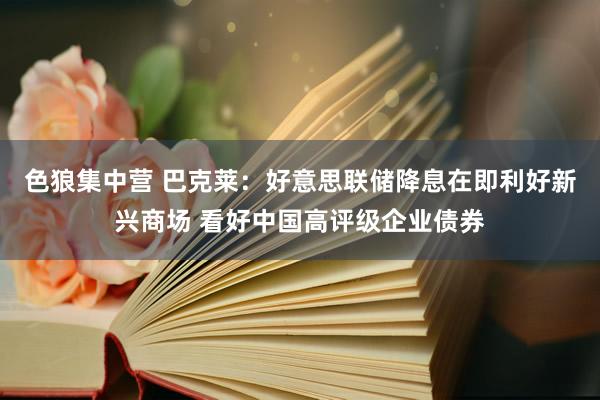 色狼集中营 巴克莱：好意思联储降息在即利好新兴商场 看好中国高评级企业债券