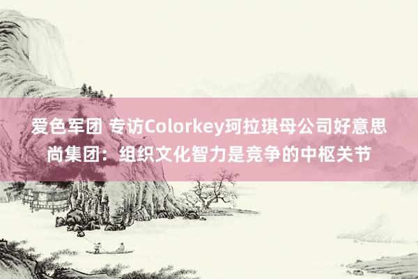 爱色军团 专访Colorkey珂拉琪母公司好意思尚集团：组织文化智力是竞争的中枢关节