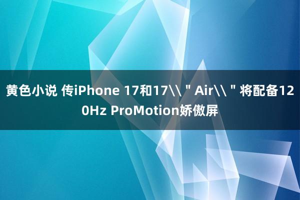 黄色小说 传iPhone 17和17\＂Air\＂将配备120Hz ProMotion娇傲屏