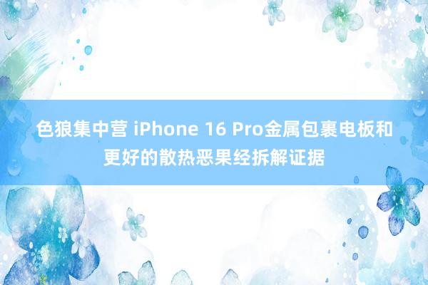 色狼集中营 iPhone 16 Pro金属包裹电板和更好的散热恶果经拆解证据