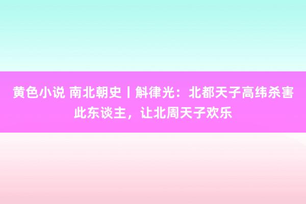 黄色小说 南北朝史丨斛律光：北都天子高纬杀害此东谈主，让北周天子欢乐