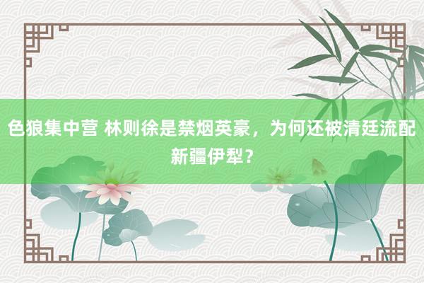 色狼集中营 林则徐是禁烟英豪，为何还被清廷流配新疆伊犁？