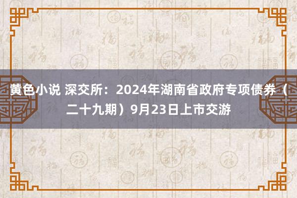 黄色小说 深交所：2024年湖南省政府专项债券（二十九期）9月23日上市交游