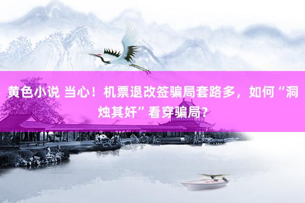 黄色小说 当心！机票退改签骗局套路多，如何“洞烛其奸”看穿骗局？