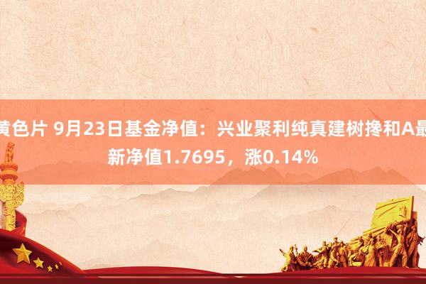 黄色片 9月23日基金净值：兴业聚利纯真建树搀和A最新净值1.7695，涨0.14%