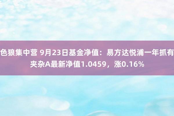 色狼集中营 9月23日基金净值：易方达悦浦一年抓有夹杂A最新净值1.0459，涨0.16%