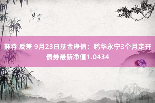 推特 反差 9月23日基金净值：鹏华永宁3个月定开债券最新净值1.0434