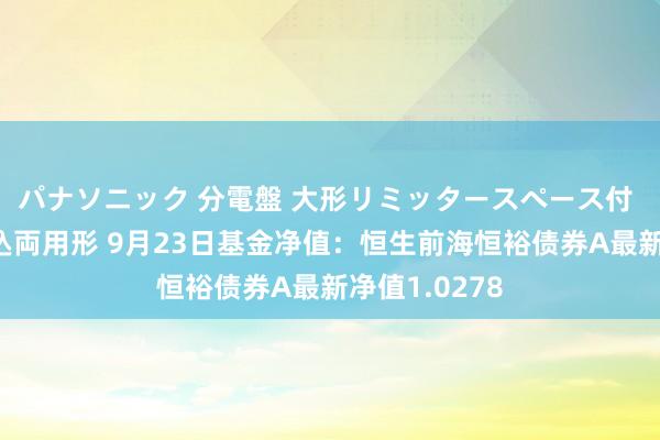 パナソニック 分電盤 大形リミッタースペース付 露出・半埋込両用形 9月23日基金净值：恒生前海恒裕债券A最新净值1.0278