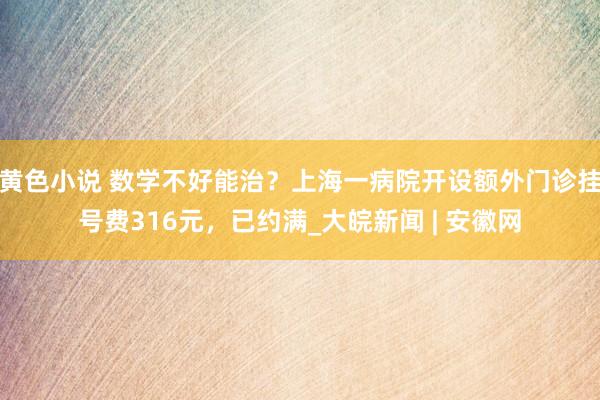 黄色小说 数学不好能治？上海一病院开设额外门诊挂号费316元，已约满_大皖新闻 | 安徽网