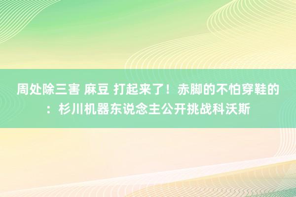 周处除三害 麻豆 打起来了！赤脚的不怕穿鞋的：杉川机器东说念主公开挑战科沃斯