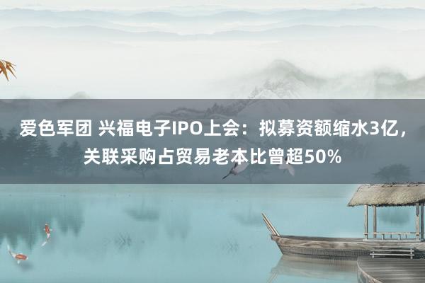 爱色军团 兴福电子IPO上会：拟募资额缩水3亿，关联采购占贸易老本比曾超50%