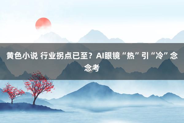 黄色小说 行业拐点已至？AI眼镜“热”引“冷”念念考