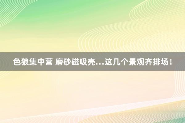 色狼集中营 磨砂磁吸壳…这几个景观齐排场！