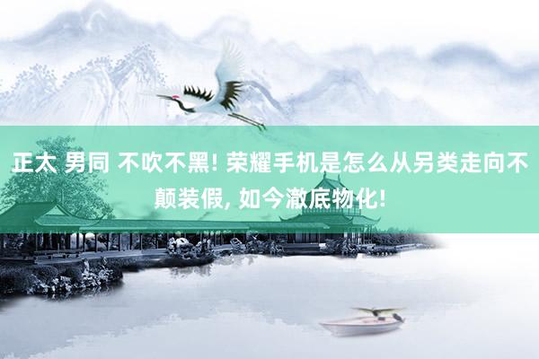 正太 男同 不吹不黑! 荣耀手机是怎么从另类走向不颠装假， 如今澈底物化!