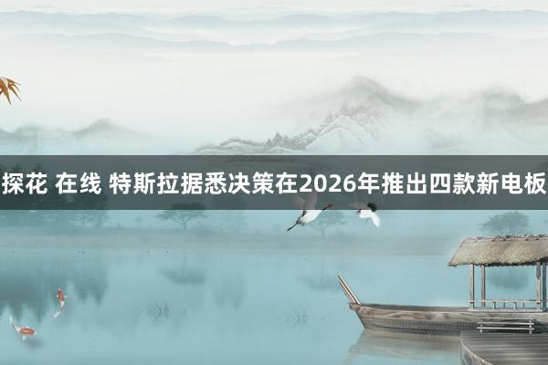 探花 在线 特斯拉据悉决策在2026年推出四款新电板