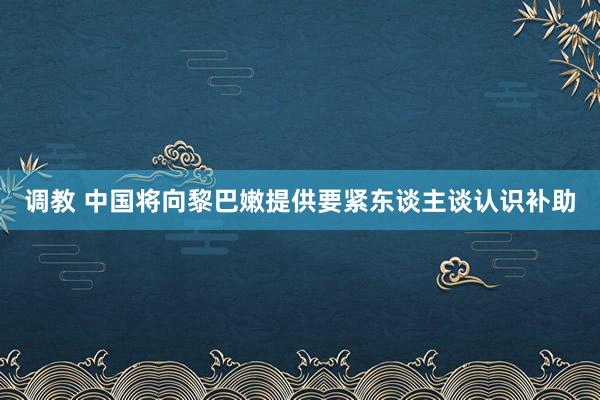 调教 中国将向黎巴嫩提供要紧东谈主谈认识补助