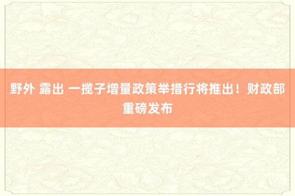 野外 露出 一揽子增量政策举措行将推出！财政部重磅发布