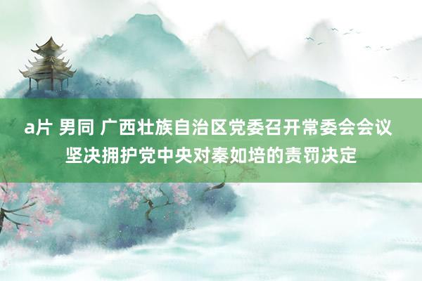 a片 男同 广西壮族自治区党委召开常委会会议 坚决拥护党中央对秦如培的责罚决定