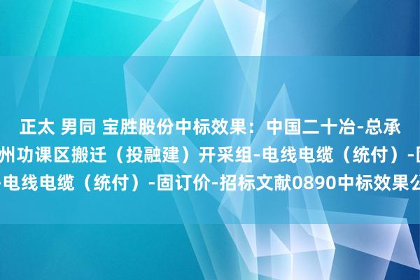 正太 男同 宝胜股份中标效果：中国二十冶-总承包-徐州港邳州港区邳州功课区搬迁（投融建）开采组-电线电缆（统付）-固订价-招标文献0890中标效果公示