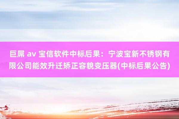 巨屌 av 宝信软件中标后果：宁波宝新不锈钢有限公司能效升迁矫正容貌变压器(中标后果公告)