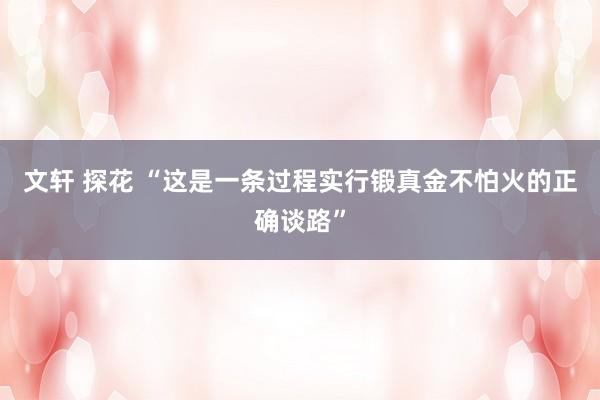 文轩 探花 “这是一条过程实行锻真金不怕火的正确谈路”