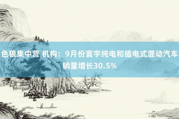 色狼集中营 机构：9月份寰宇纯电和插电式混动汽车销量增长30.5%