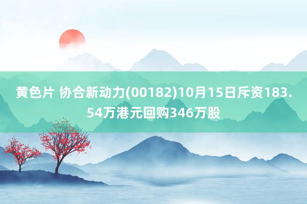 黄色片 协合新动力(00182)10月15日斥资183.54万港元回购346万股