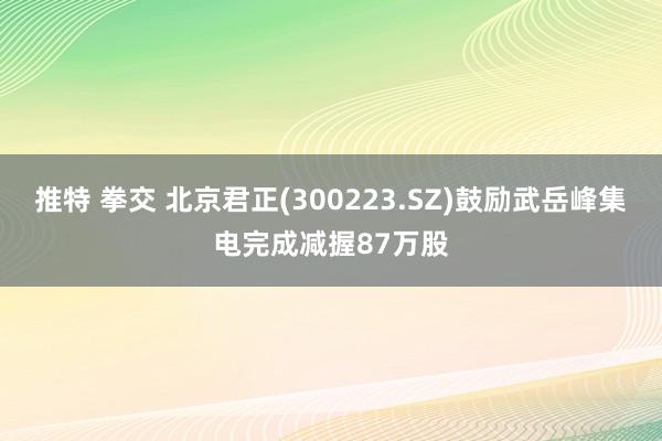 推特 拳交 北京君正(300223.SZ)鼓励武岳峰集电完成减握87万股