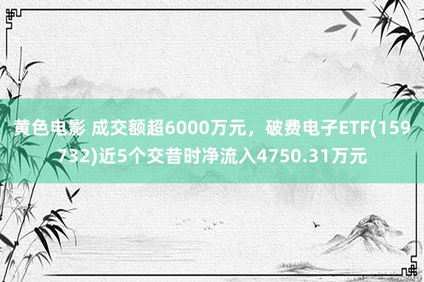 黄色电影 成交额超6000万元，破费电子ETF(159732)近5个交昔时净流入4750.31万元