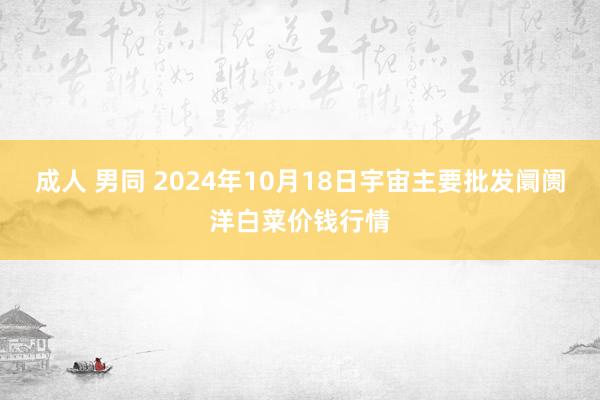 成人 男同 2024年10月18日宇宙主要批发阛阓洋白菜价钱行情