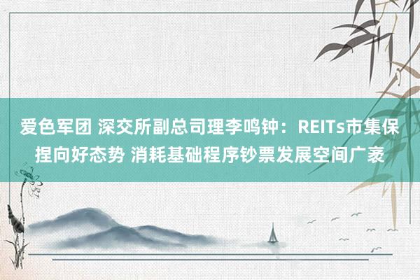 爱色军团 深交所副总司理李鸣钟：REITs市集保捏向好态势 消耗基础程序钞票发展空间广袤