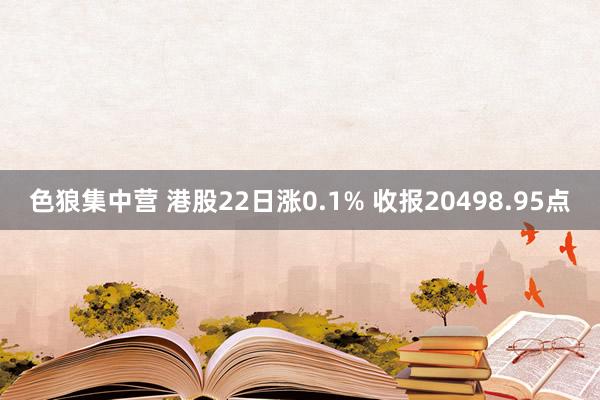 色狼集中营 港股22日涨0.1% 收报20498.95点