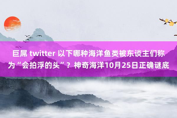 巨屌 twitter 以下哪种海洋鱼类被东谈主们称为“会拍浮的头”？神奇海洋10月25日正确谜底