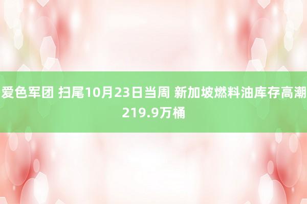 爱色军团 扫尾10月23日当周 新加坡燃料油库存高潮219.9万桶