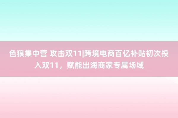 色狼集中营 攻击双11|跨境电商百亿补贴初次投入双11，赋能出海商家专属场域