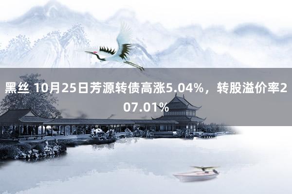 黑丝 10月25日芳源转债高涨5.04%，转股溢价率207.01%