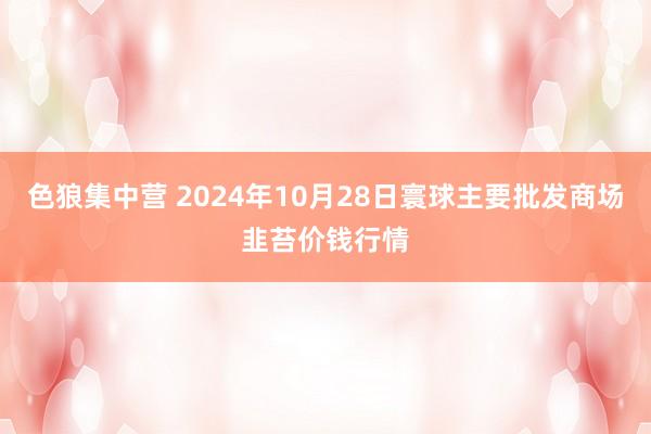 色狼集中营 2024年10月28日寰球主要批发商场韭苔价钱行情